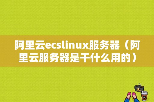 阿里云ecslinux服务器（阿里云服务器是干什么用的）