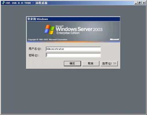 win2003服务器安全（服务器安全94ip）