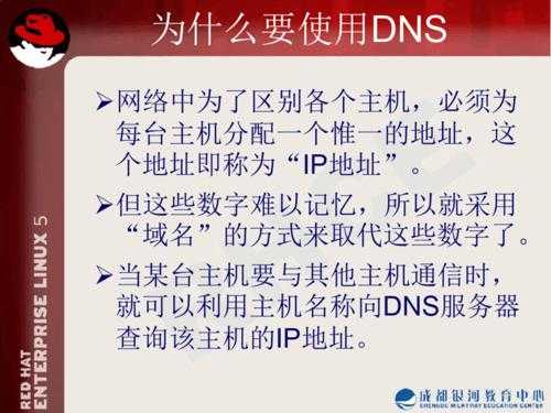 DNS服务器租赁费（dns的服务器有什么用）